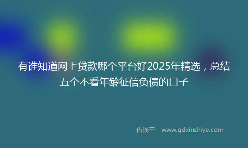 有谁知道网上贷款哪个平台好2025年精选，总结五个不看年龄征信负债的口子