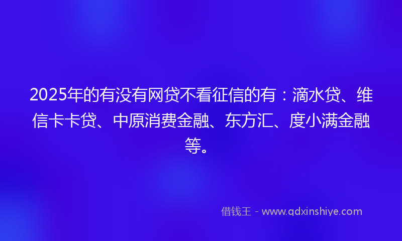 2025年的有没有网贷不看征信的有：滴水贷、维信卡卡贷、中原消费金融、东方汇、度小满金融等。