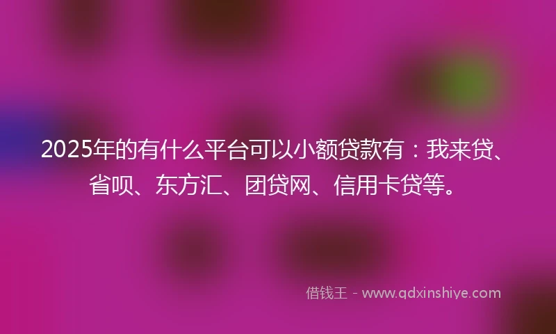 2025年的有什么平台可以小额贷款有：我来贷、省呗、东方汇、团贷网、信用卡贷等。