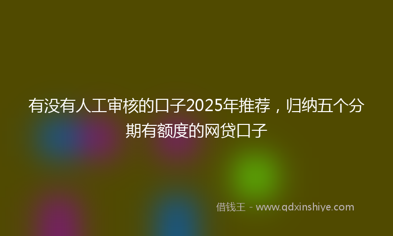 有没有人工审核的口子2025年推荐，归纳五个分期有额度的网贷口子