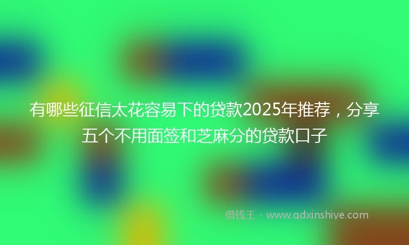 有哪些征信太花容易下的贷款2025年推荐，分享五个不用面签和芝麻分的贷款口子