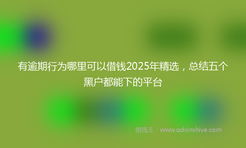 有逾期行为哪里可以借钱2025年精选，总结五个黑户都能下的平台