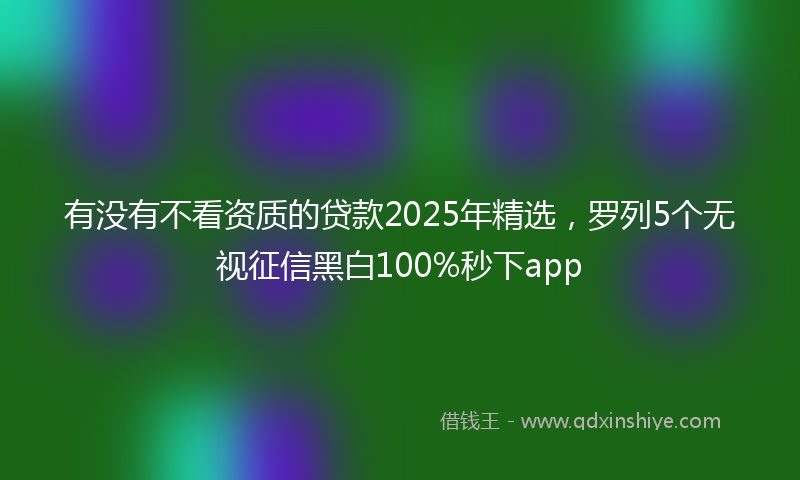 有没有不看资质的贷款2025年精选，罗列5个无视征信黑白100%秒下app
