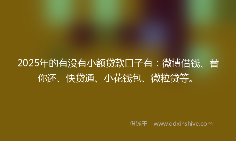 2025年的有没有小额贷款口子有：微博借钱、替你还、快贷通、小花钱包、微粒贷等。