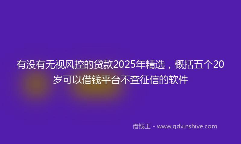 有没有无视风控的贷款2025年精选，概括五个20岁可以借钱平台不查征信的软件
