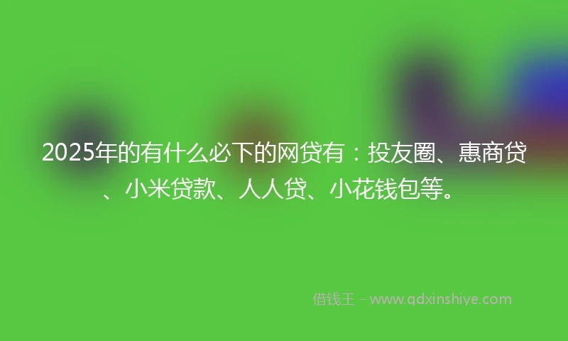 2025年的有什么必下的网贷有：投友圈、惠商贷、小米贷款、人人贷、小花钱包等。