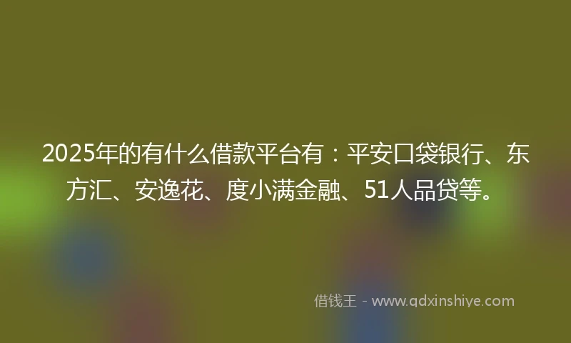 2025年的有什么借款平台有：平安口袋银行、东方汇、安逸花、度小满金融、51人品贷等。