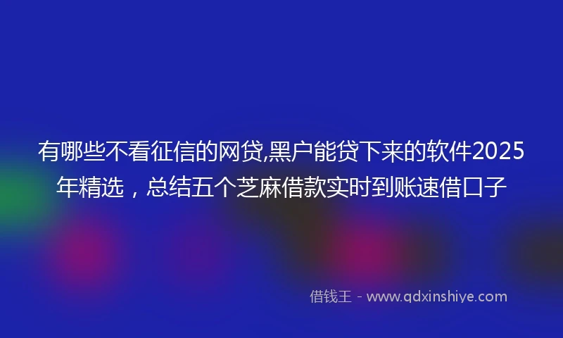 有哪些不看征信的网贷,黑户能贷下来的软件2025年精选，总结五个芝麻借款实时到账速借口子