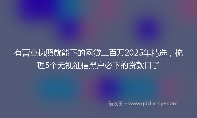 有营业执照就能下的网贷二百万2025年精选，梳理5个无视征信黑户必下的贷款口子