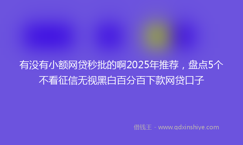 有没有小额网贷秒批的啊2025年推荐，盘点5个不看征信无视黑白百分百下款网贷口子