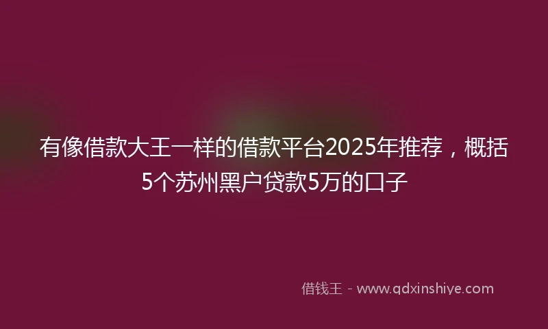有像借款大王一样的借款平台2025年推荐，概括5个苏州黑户贷款5万的口子
