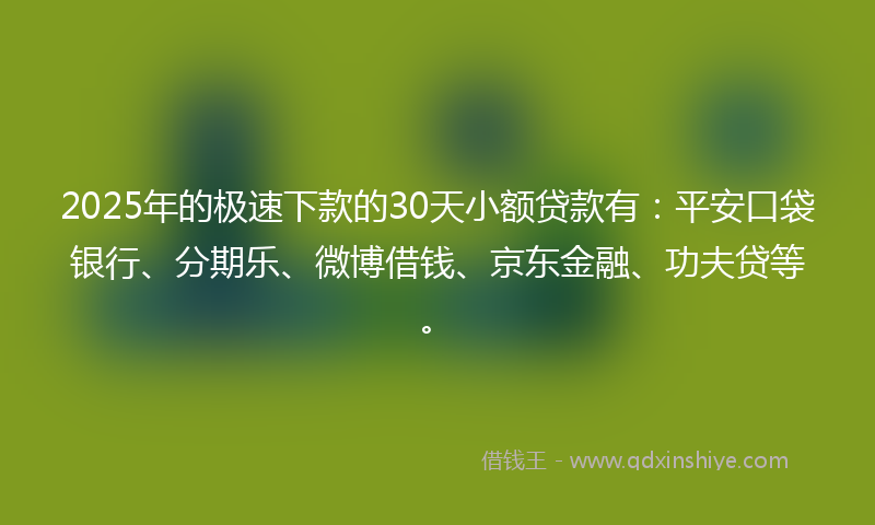 2025年的极速下款的30天小额贷款有：平安口袋银行、分期乐、微博借钱、京东金融、功夫贷等。