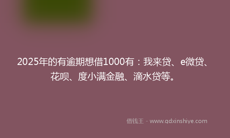 2025年的有逾期想借1000有：我来贷、e微贷、花呗、度小满金融、滴水贷等。