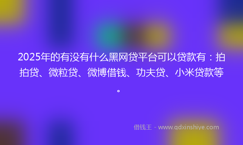 2025年的有没有什么黑网贷平台可以贷款有:拍拍贷、微粒贷、微博借钱、功夫贷、小米贷款等。