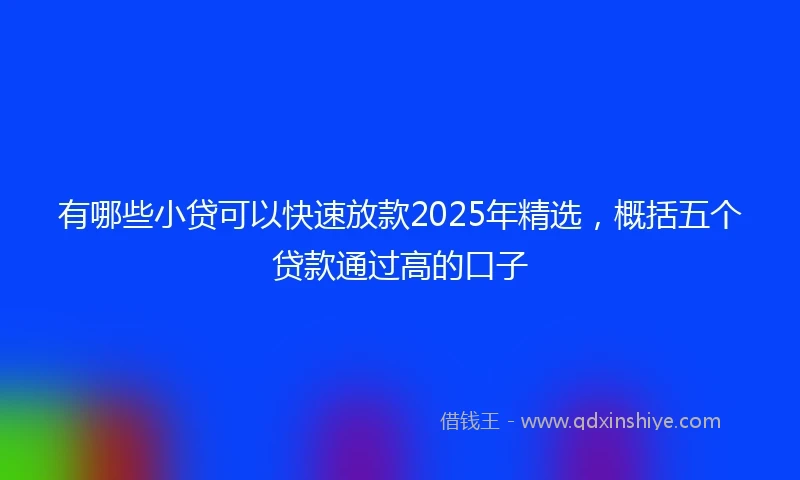 有哪些小贷可以快速放款2025年精选，概括五个贷款通过高的口子