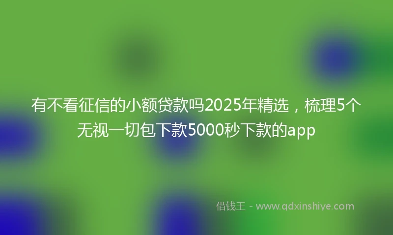 有不看征信的小额贷款吗2025年精选，梳理5个无视一切包下款5000秒下款的app