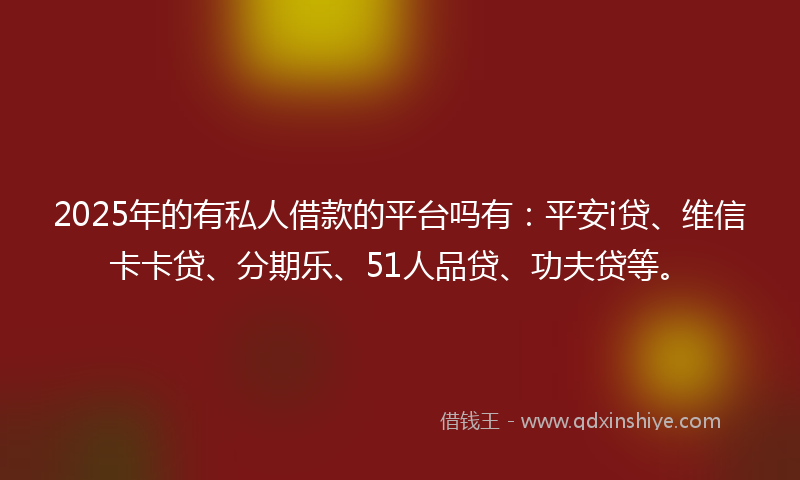 2025年的有私人借款的平台吗有：平安i贷、维信卡卡贷、分期乐、51人品贷、功夫贷等。