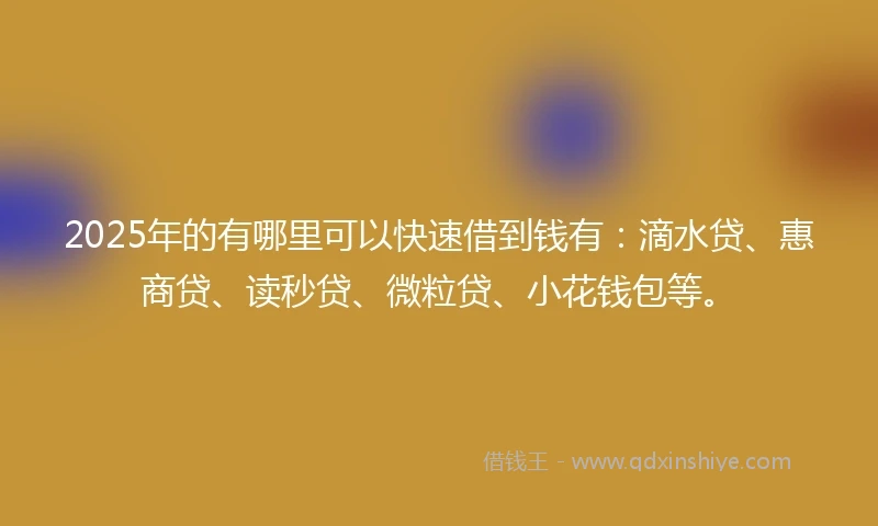 2025年的有哪里可以快速借到钱有：滴水贷、惠商贷、读秒贷、微粒贷、小花钱包等。
