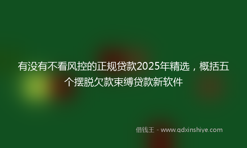 有没有不看风控的正规贷款2025年精选，概括五个摆脱欠款束缚贷款新软件