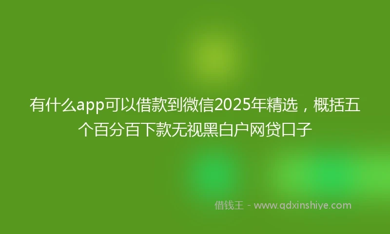 有什么app可以借款到微信2025年精选，概括五个百分百下款无视黑白户网贷口子
