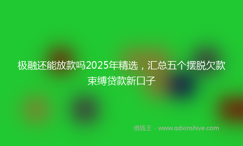 极融还能放款吗2025年精选，汇总五个摆脱欠款束缚贷款新口子