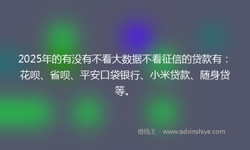 2025年的有没有不看大数据不看征信的贷款有：花呗、省呗、平安口袋银行、小米贷款、随身贷等。