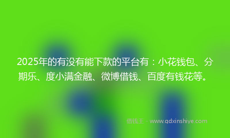 2025年的有没有能下款的平台有：小花钱包、分期乐、度小满金融、微博借钱、百度有钱花等。