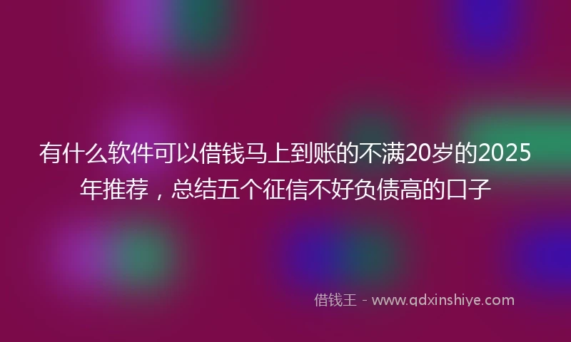 有什么软件可以借钱马上到账的不满20岁的2025年推荐,总结五个征信不好负债高的口子