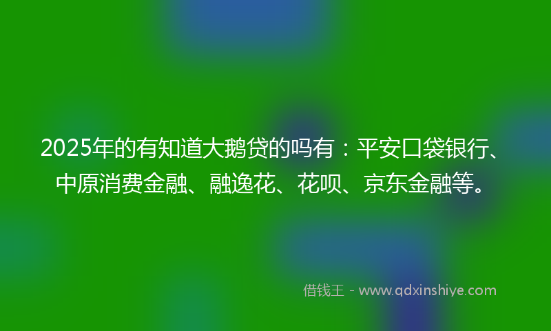 2025年的有知道大鹅贷的吗有：平安口袋银行、中原消费金融、融逸花、花呗、京东金融等。