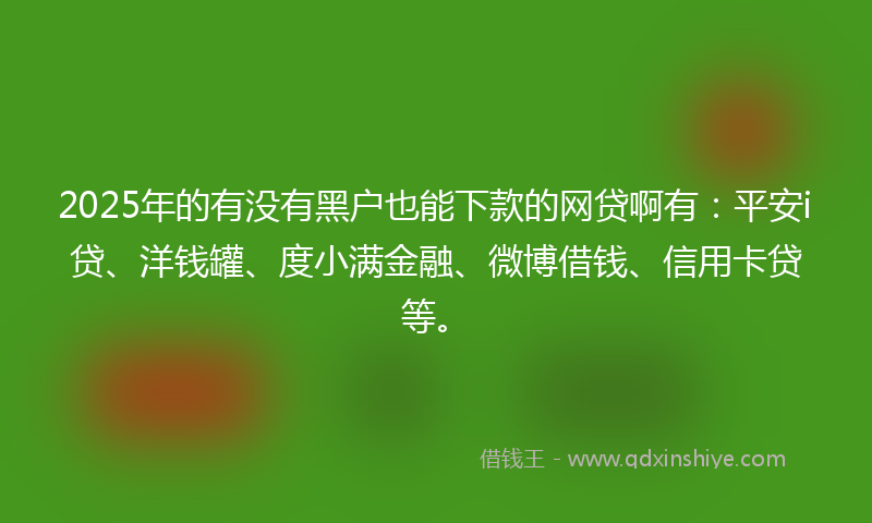 2025年的有没有黑户也能下款的网贷啊有：平安i贷、洋钱罐、度小满金融、微博借钱、信用卡贷等。