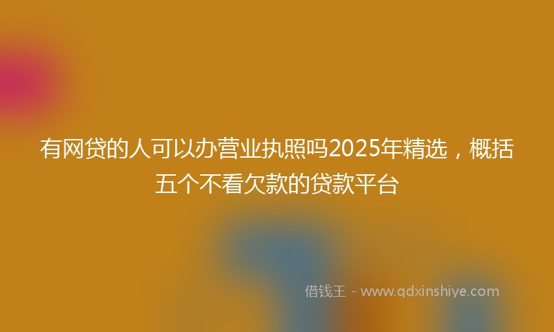 有网贷的人可以办营业执照吗2025年精选，概括五个不看欠款的贷款平台