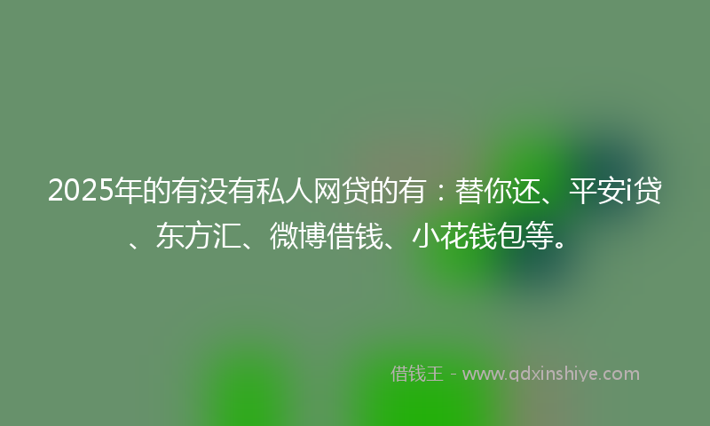 2025年的有没有私人网贷的有：替你还、平安i贷、东方汇、微博借钱、小花钱包等。