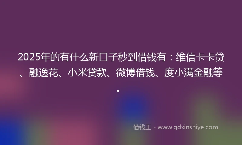 2025年的有什么新口子秒到借钱有：维信卡卡贷、融逸花、小米贷款、微博借钱、度小满金融等。