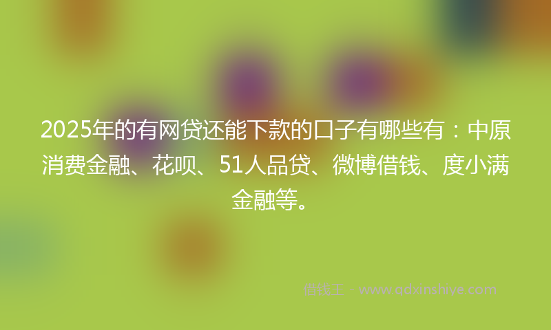 2025年的有网贷还能下款的口子有哪些有：中原消费金融、花呗、51人品贷、微博借钱、度小满金融等。