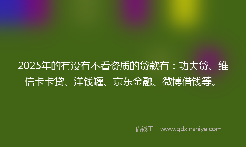 2025年的有没有不看资质的贷款有：功夫贷、维信卡卡贷、洋钱罐、京东金融、微博借钱等。
