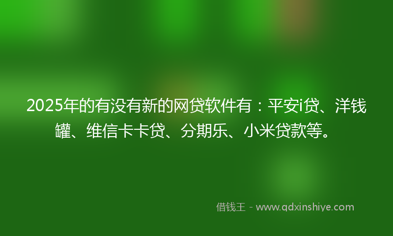 2025年的有没有新的网贷软件有：平安i贷、洋钱罐、维信卡卡贷、分期乐、小米贷款等。