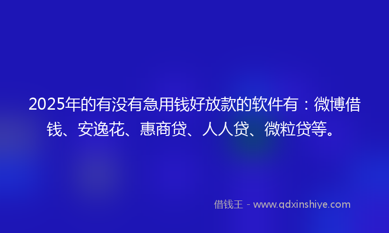 2025年的有没有急用钱好放款的软件有：微博借钱、安逸花、惠商贷、人人贷、微粒贷等。