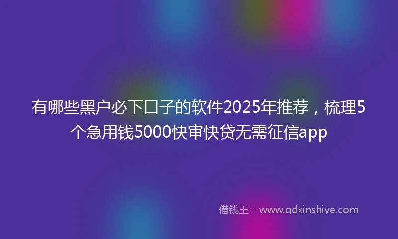 有哪些黑户必下口子的软件2025年推荐，梳理5个急用钱5000快审快贷无需征信app