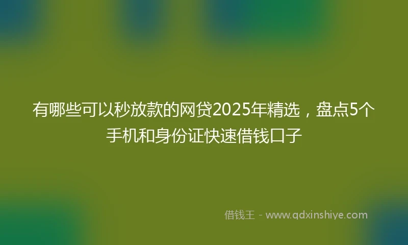有哪些可以秒放款的网贷2025年精选,盘点5个手机和身份证快速借钱口子