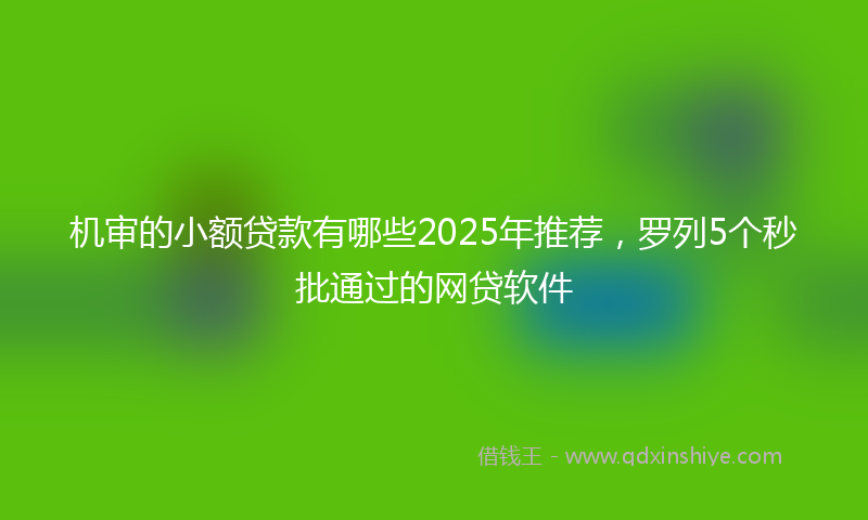 机审的小额贷款有哪些2025年推荐，罗列5个秒批通过的网贷软件