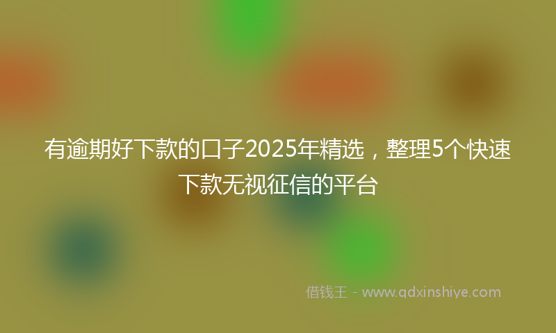 有逾期好下款的口子2025年精选，整理5个快速下款无视征信的平台