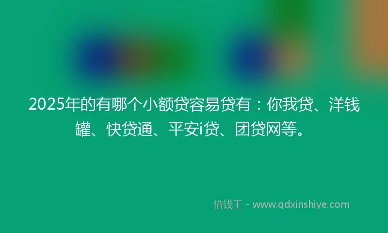 2025年的有哪个小额贷容易贷有：你我贷、洋钱罐、快贷通、平安i贷、团贷网等。