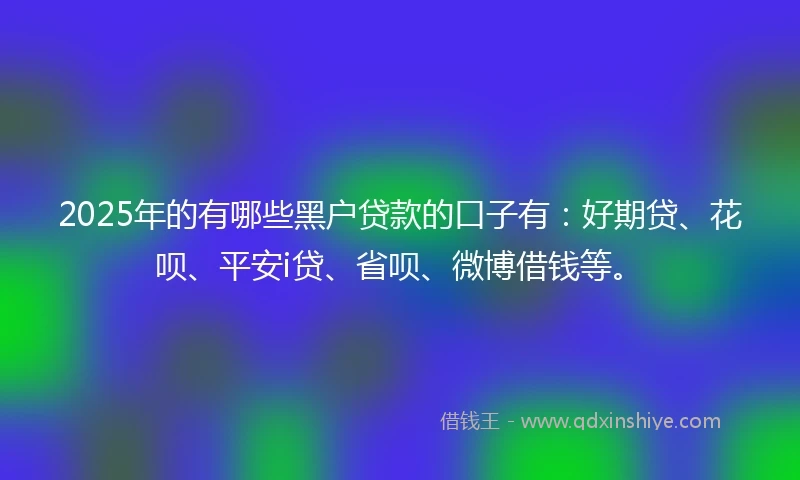 2025年的有哪些黑户贷款的口子有：好期贷、花呗、平安i贷、省呗、微博借钱等。