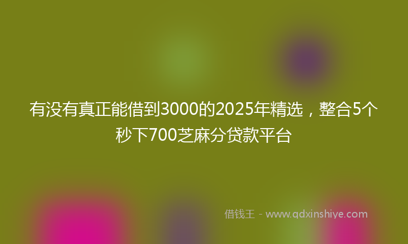 有没有真正能借到3000的2025年精选，整合5个秒下700芝麻分贷款平台