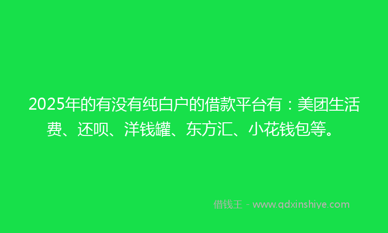 2025年的有没有纯白户的借款平台有：美团生活费、还呗、洋钱罐、东方汇、小花钱包等。