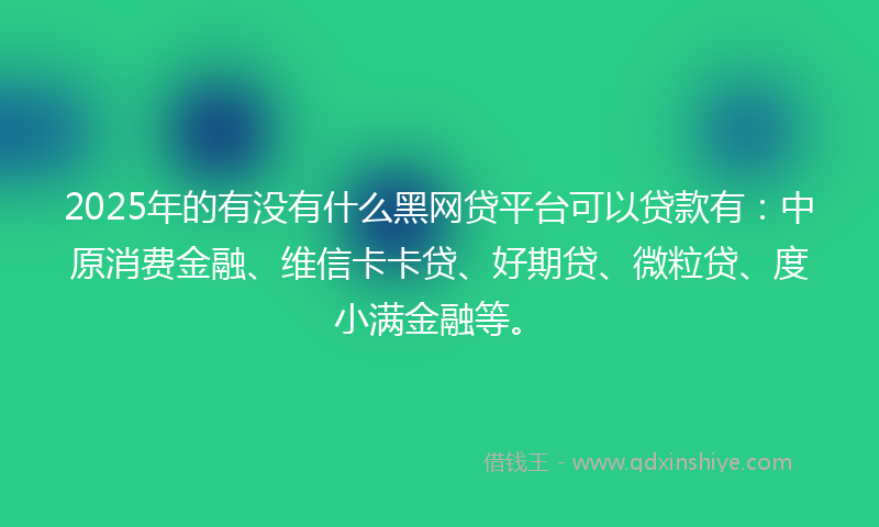 2025年的有没有什么黑网贷平台可以贷款有：中原消费金融、维信卡卡贷、好期贷、微粒贷、度小满金融等。