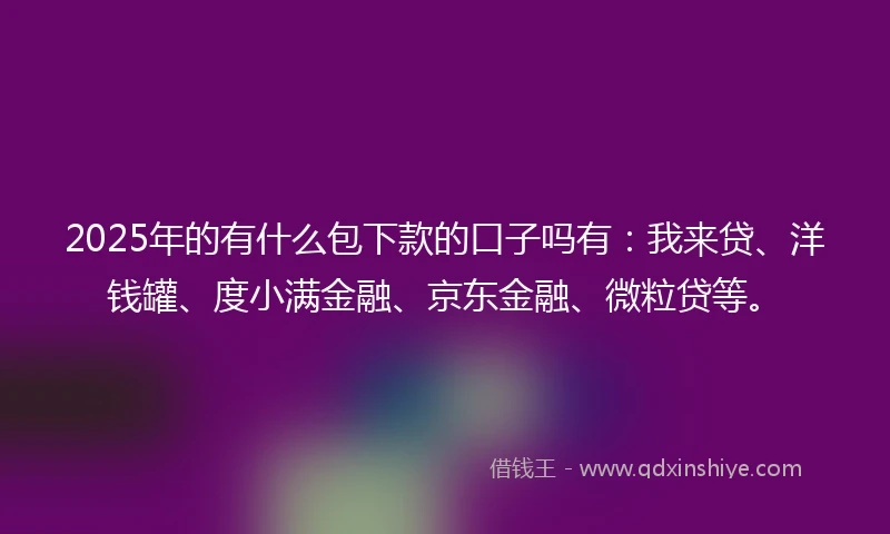 2025年的有什么包下款的口子吗有：我来贷、洋钱罐、度小满金融、京东金融、微粒贷等。