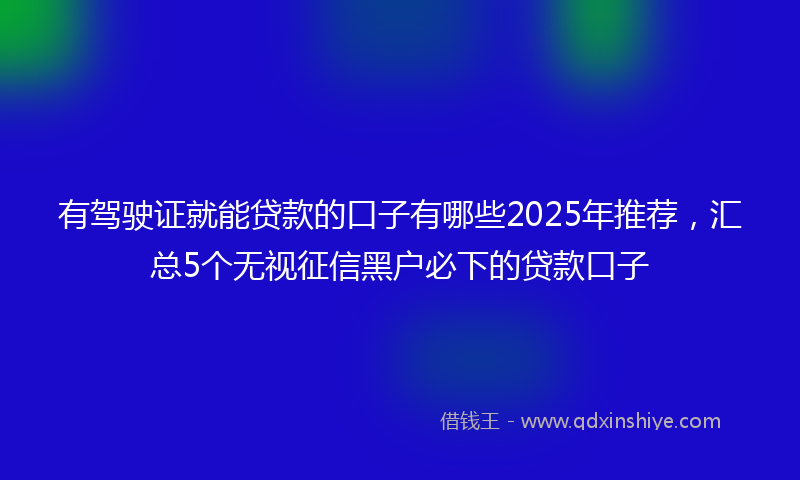 有驾驶证就能贷款的口子有哪些2025年推荐，汇总5个无视征信黑户必下的贷款口子