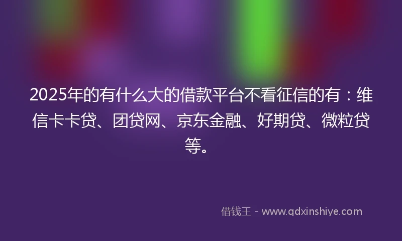2025年的有什么大的借款平台不看征信的有：维信卡卡贷、团贷网、京东金融、好期贷、微粒贷等。