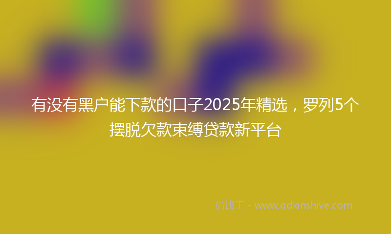 有没有黑户能下款的口子2025年精选，罗列5个摆脱欠款束缚贷款新平台
